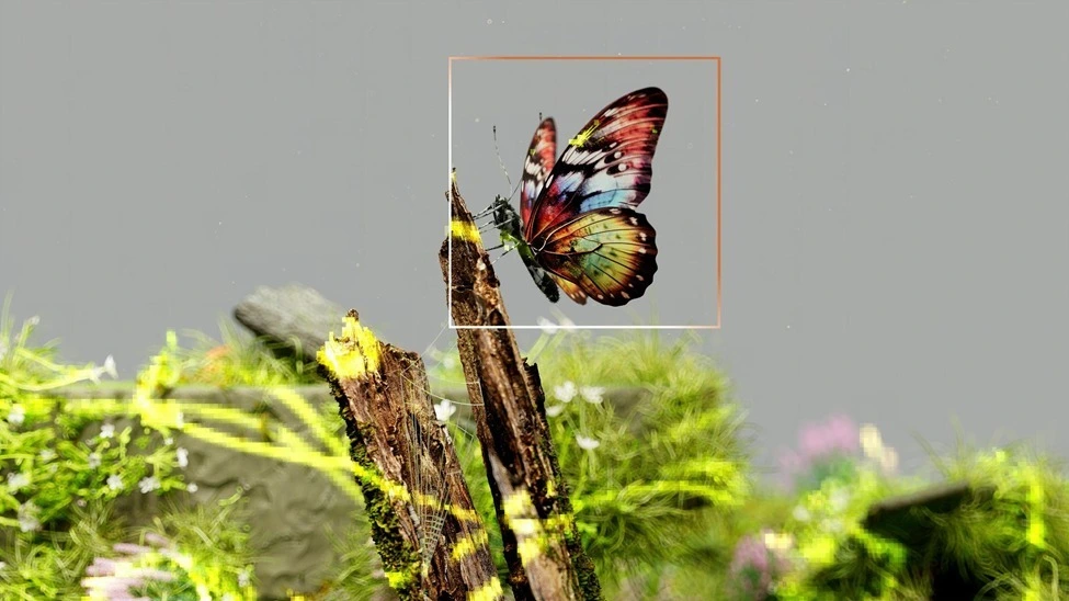 Colorful butterfly resting on a tree branch in a natural setting, symbolizing creativity and innovation in Generative AI & Creative Labor.